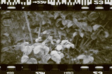 【我家的医生】全集百度云资源「1080p/高清」云网盘下载