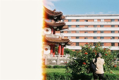 时空守卫剧情介绍（美剧 时空守卫）